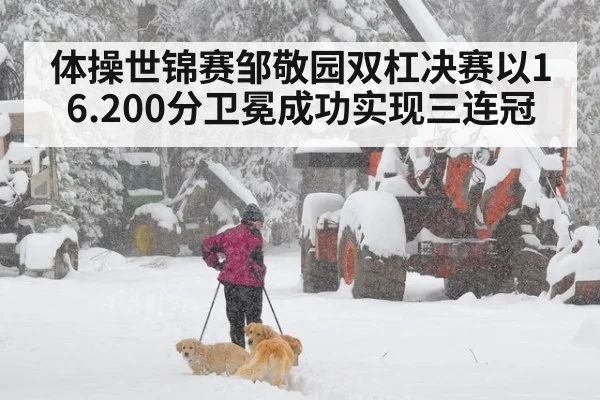 体操世锦赛邹敬园双杠决赛以16.200分卫冕成功实现三连冠