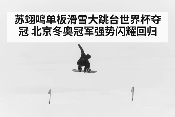 苏翊鸣单板滑雪大跳台世界杯夺冠 北京冬奥冠军强势闪耀回归